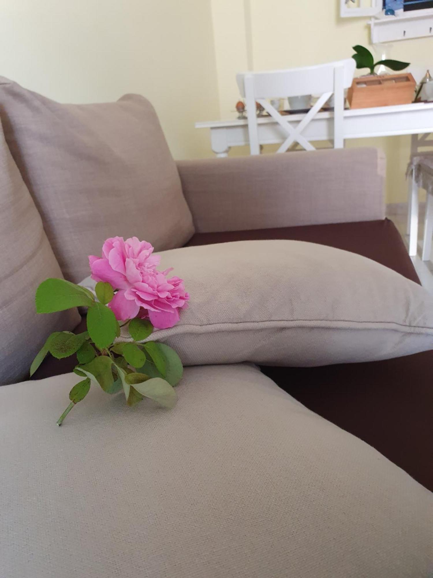 Casa Vacanze Rosy "Nel Verde" Palinuro Exterior foto