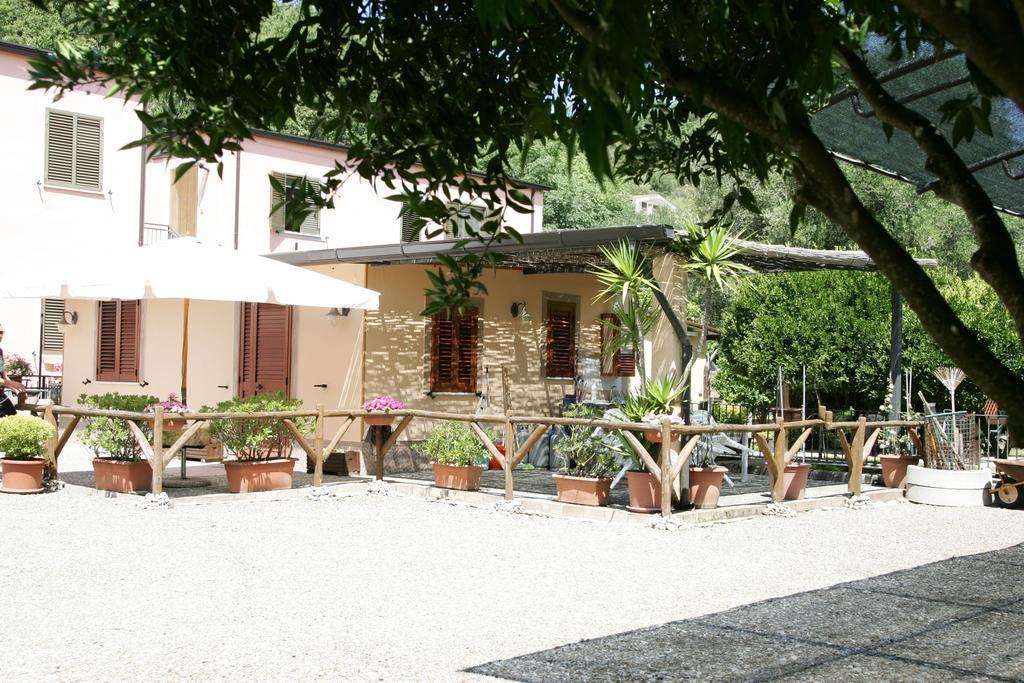 Casa Vacanze Rosy "Nel Verde" Palinuro Quarto foto
